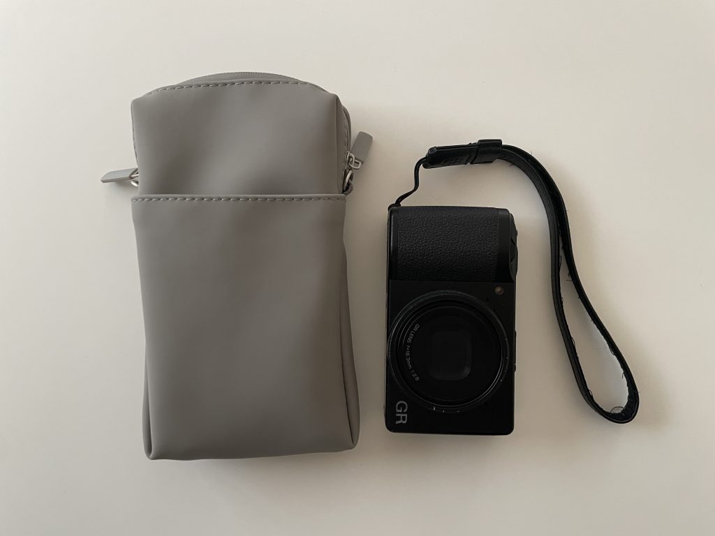 GR3とケースの大きさを比較